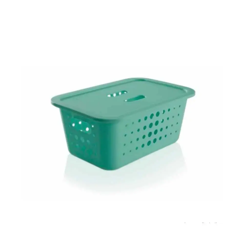 Cesta Org.ou.verde M C/tampa 5l