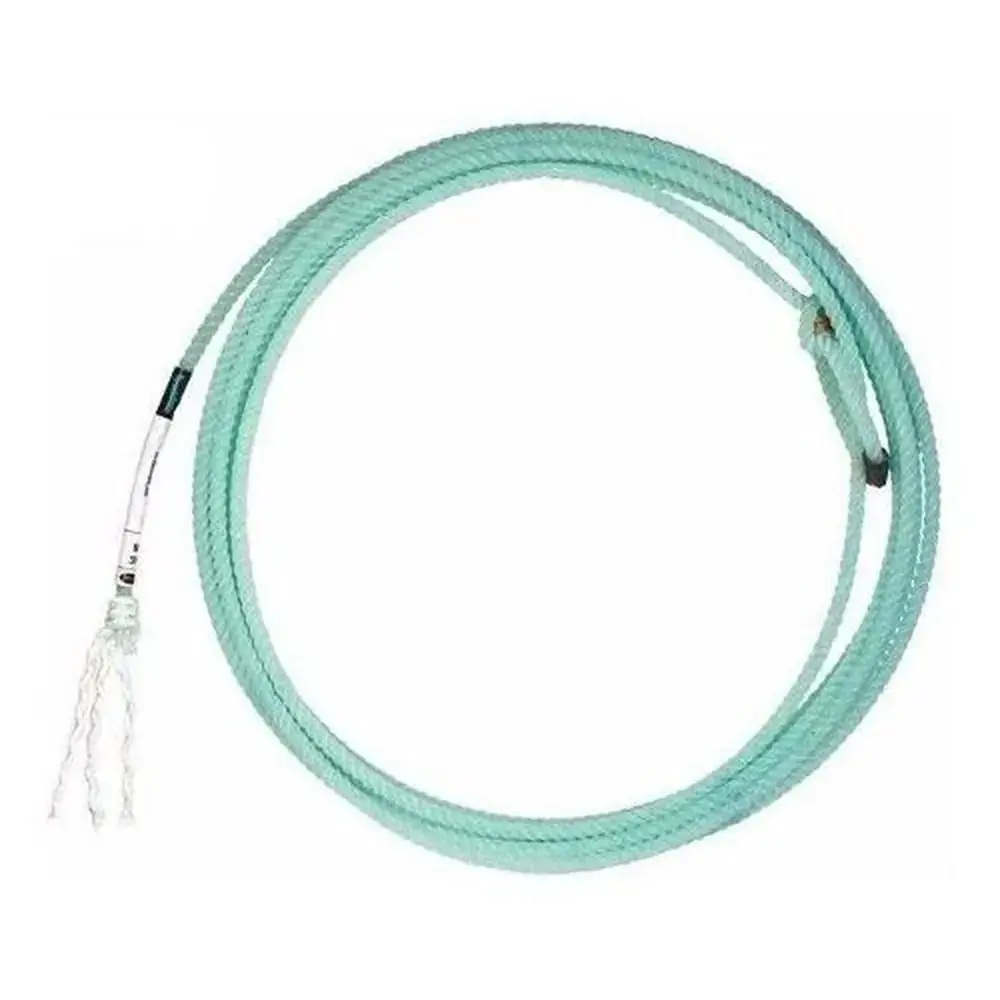 Corda P/varal De Teto 15mts 4mm