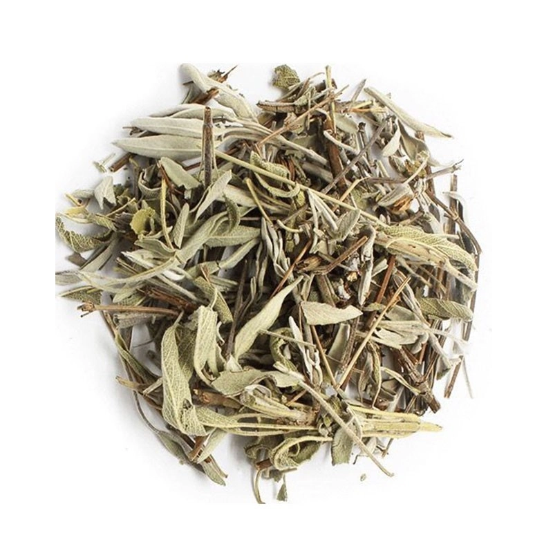 Folha Cha Da Roca Salvia