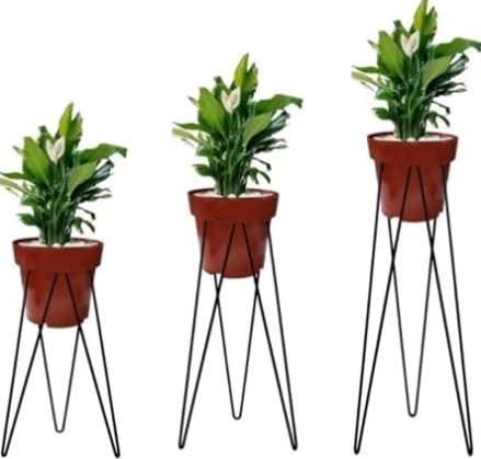 Suporte Mato Verde P/plantas A Trava G Un