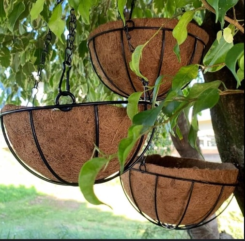 Vaso Mato Verde Placa N120