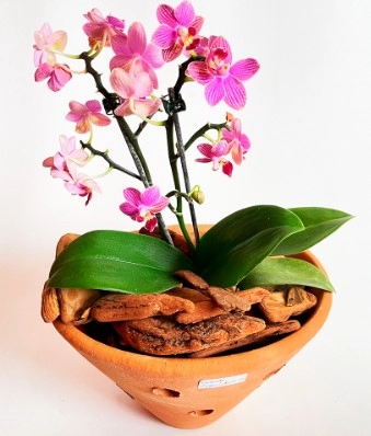 Conjunto Vaso Mato Barro 3x1 Ref1266
