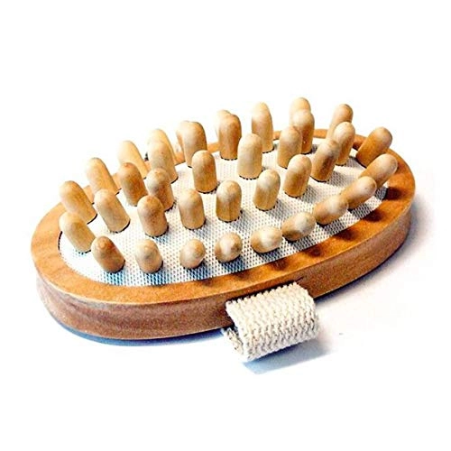 Ricca R 325 Massageador C/almofada Body Spa
