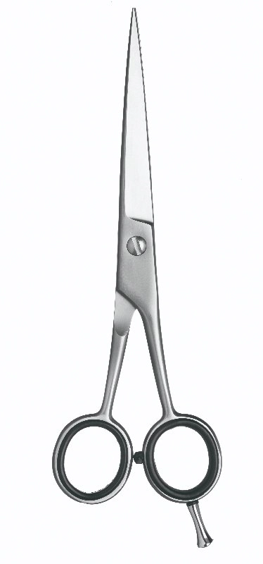 Tesoura Cabelo Maestral Vertix Iniciante Laser 6,5’’ 1un
