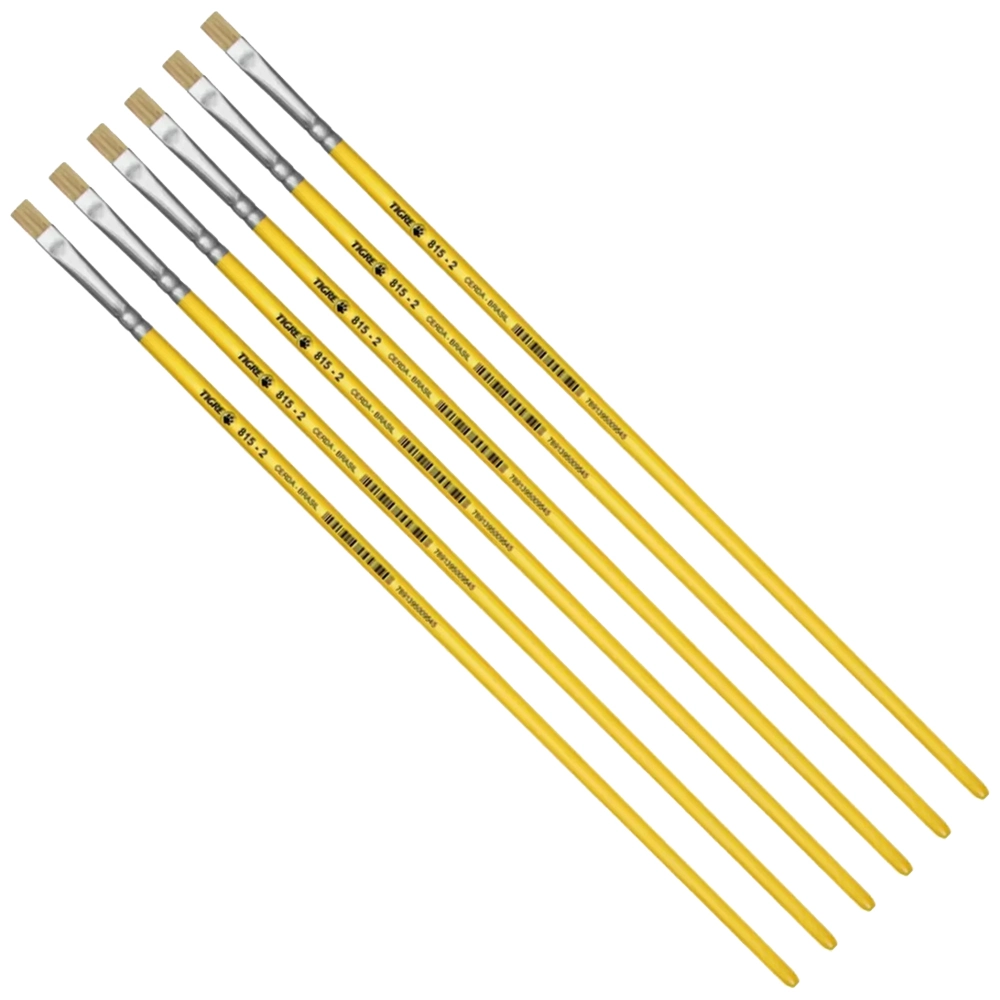 Kit 6 Pincel Chato Longo Cerda Natural 815-2 Nº2 Fino Tigre