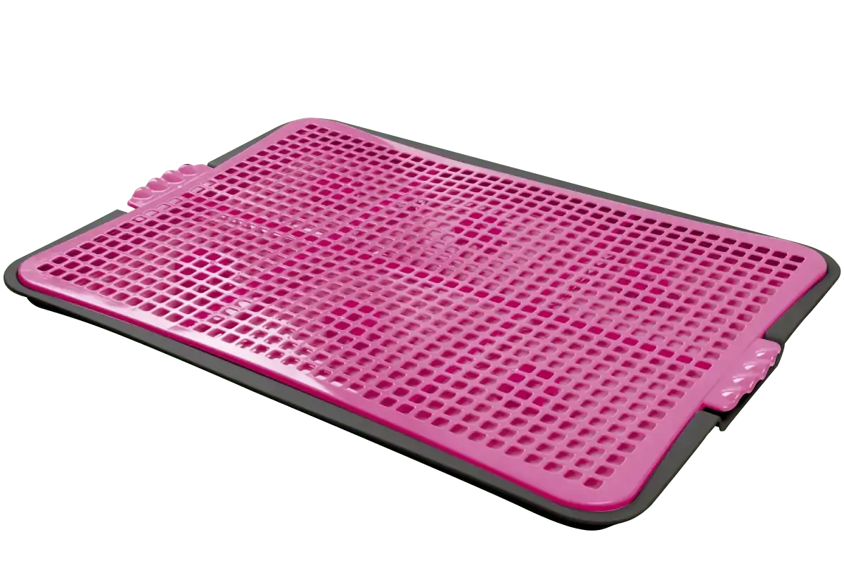 Sanitario Pipi Jornal Rosa
