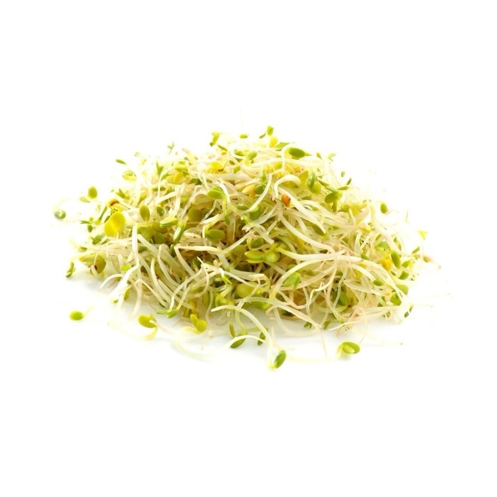 Broto Da Alfafa Bdj 150gr