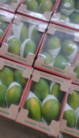 Mamão Papaya Embalado
