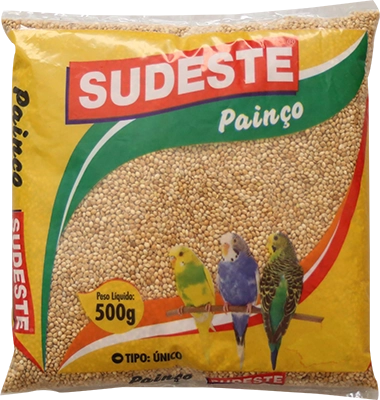 Painco Sudeste
