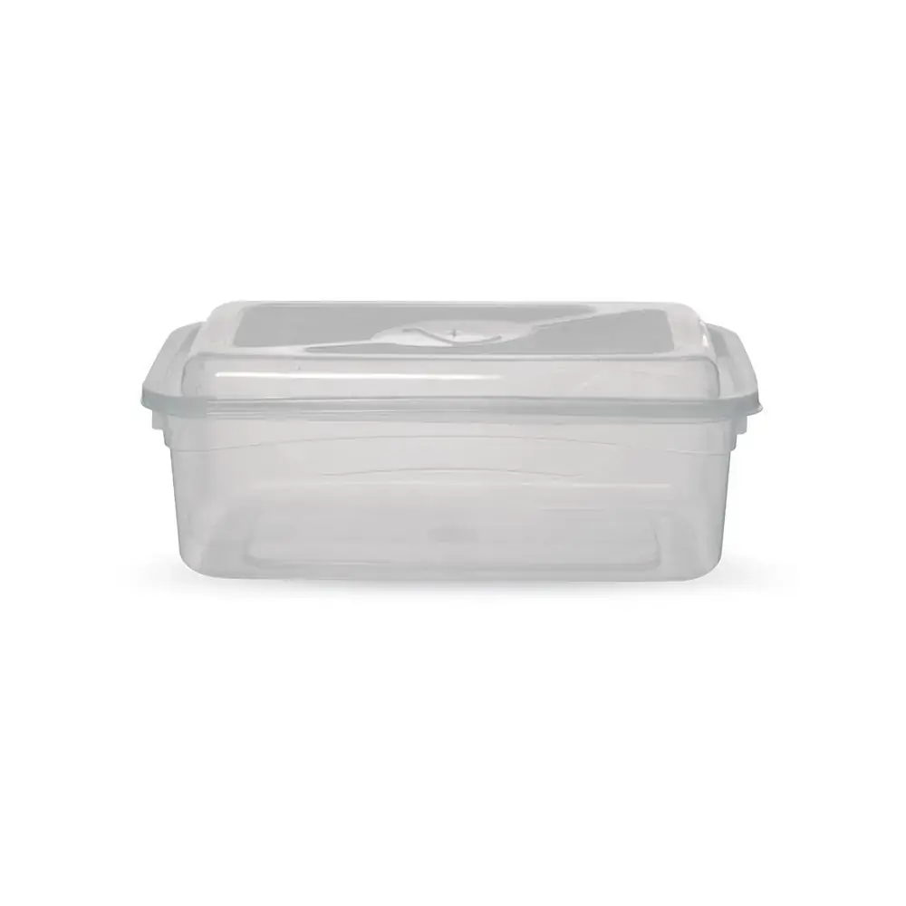 Feirao Caixa Oragnizadora Retangular 2,5l