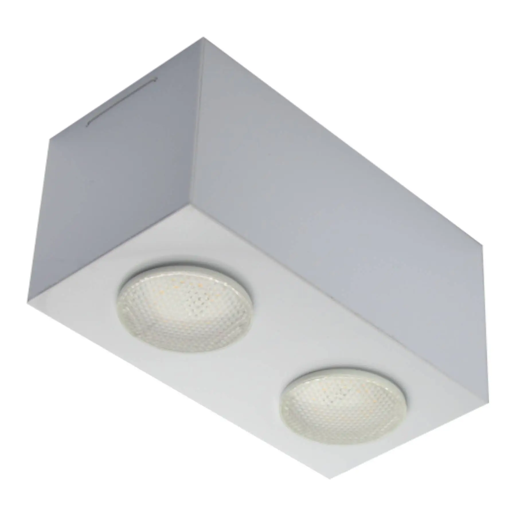 Plafon de Sobrepor Retangular Granada com Difusor Branco para 02 Lâmpadas Par 20 ou Bulbo Led E-27 A60 9W- 21X11 cm