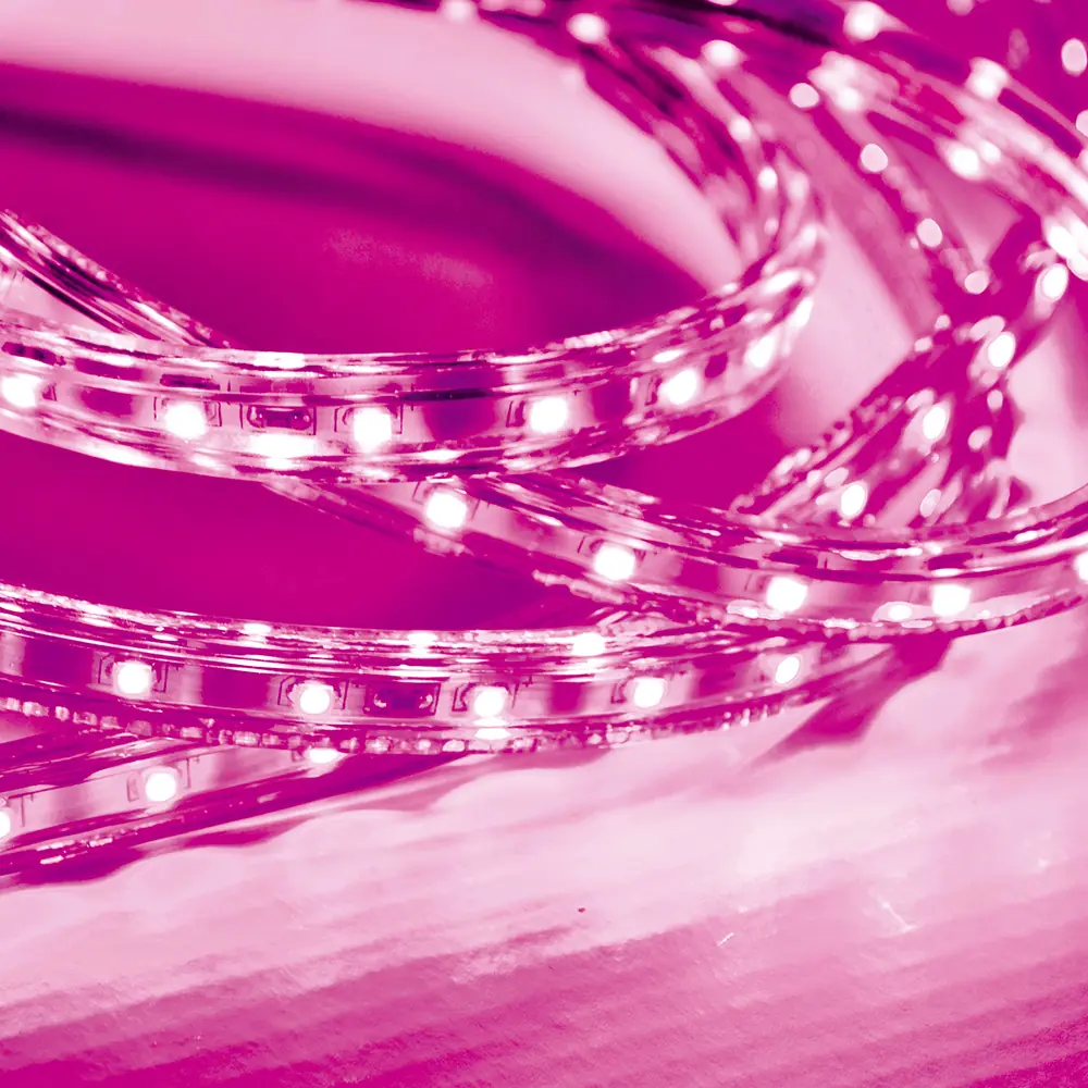 Fita Led Taschibra 5w/m Ip67 110v Alta Proteção Cores | Valor Do Metro Rosa