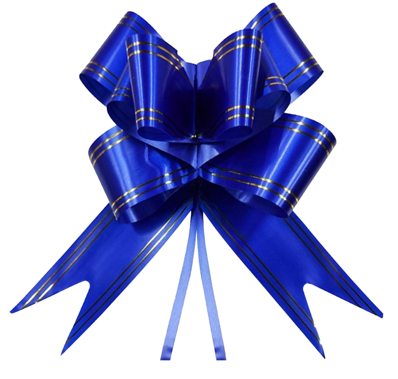 Laco Facil M Azul Escuro Filete Dourado 17mmx34cm 10un 5191 Make