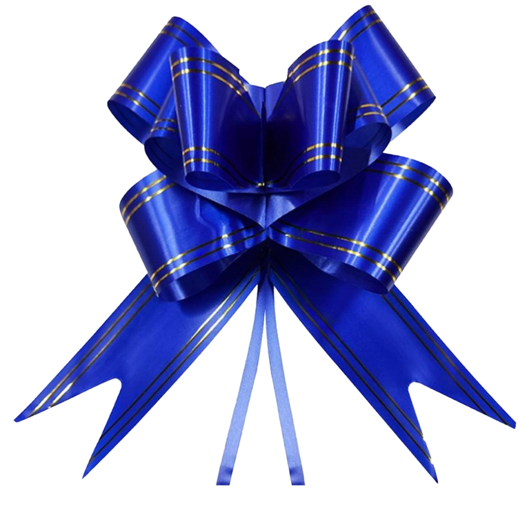 Laco Facil G Azul Escuro Filete Duplo Dour 28mmx47cm 10un 5192 Make