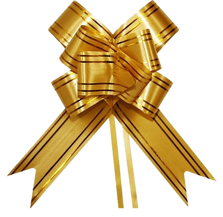 Laco Facil M Amarelo Filete Dourado 17mmx34cm 10un 5203 Make