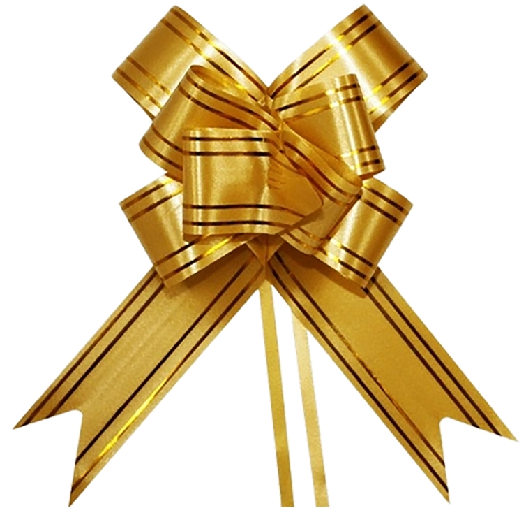 Laco Facil G Amarelo Filete Duplo Dourado 28mmx47cm 10un 5204 Make