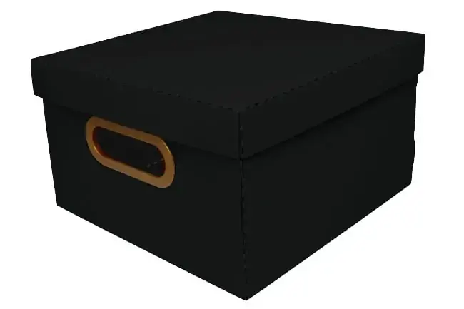 Caixa Organizadora P Pto 25x25x15cm