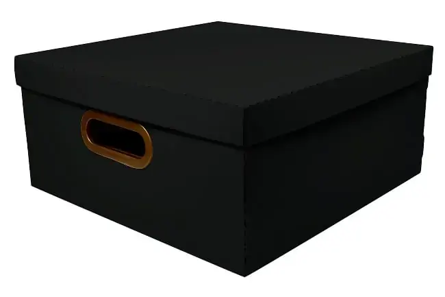 Caixa Organizadora G Pto 35x35x16cm