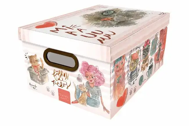Caixa Organizadora Med Estampada Gato