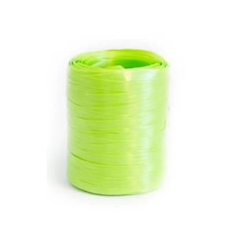 Fitilho 5mmx40m Verde Limao Ref.6019 Fidepla