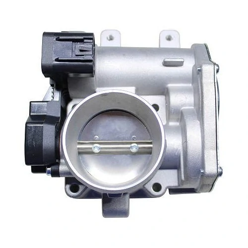 Corpo de Borboleta - DELPHI TB10043