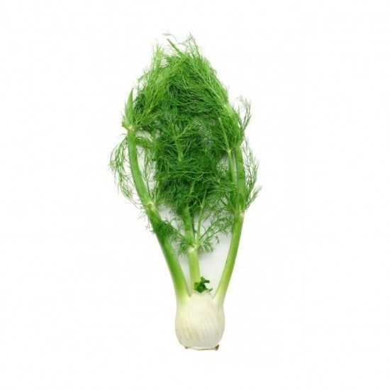 Erva Doce Linha Verde Un