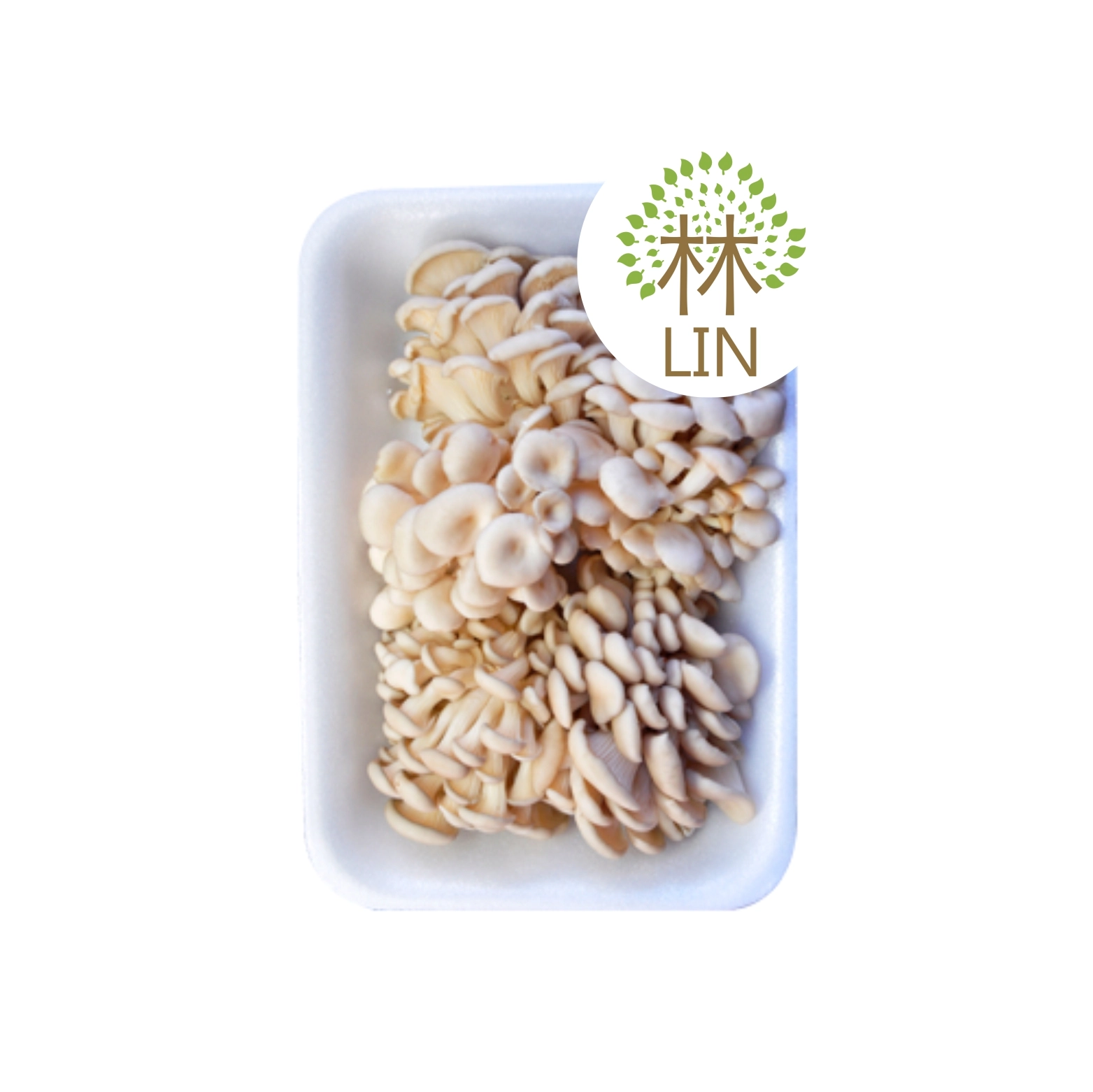Cogumelo Lin Shimeji Branco 200g