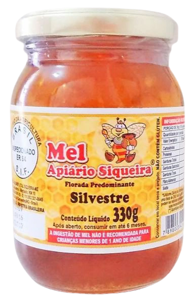 Mel Apiario Siqueira Laranjeira