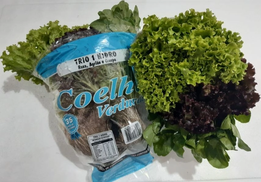 Trio Hidroponico Coelho