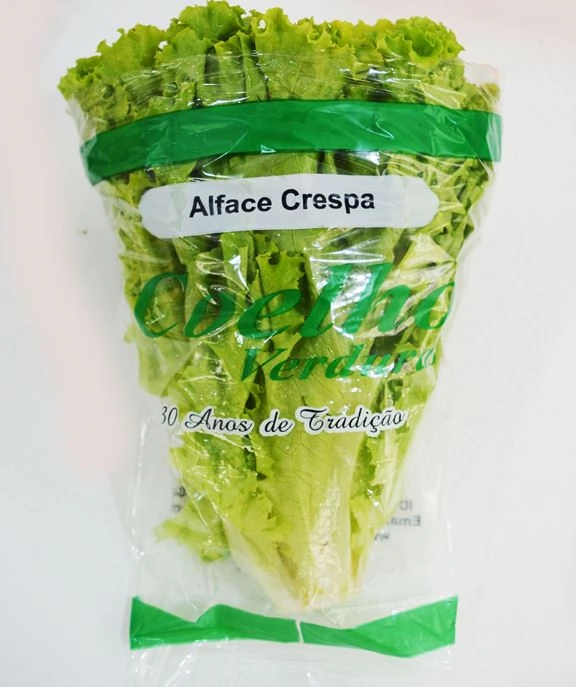 BROTO DE TREVO 150G