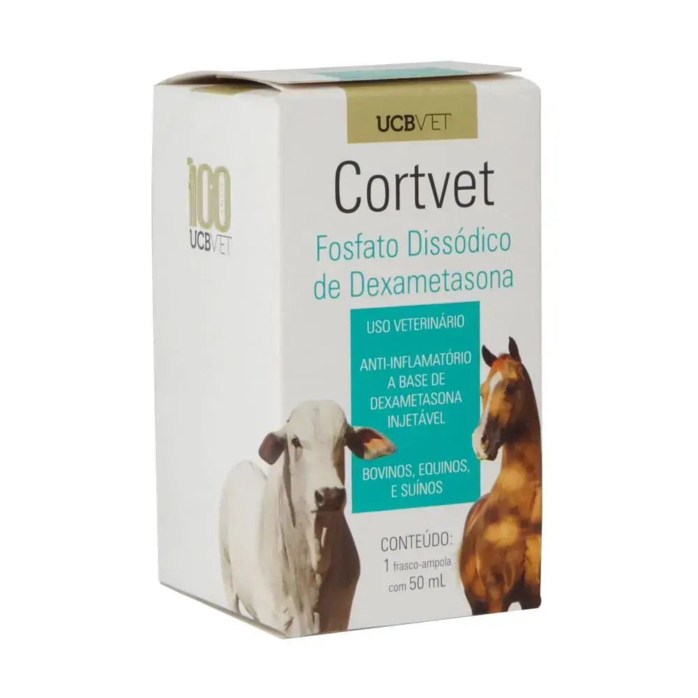 Creatina Dog-pet 200ml Animais Apcs Exercício Físico Kit4u