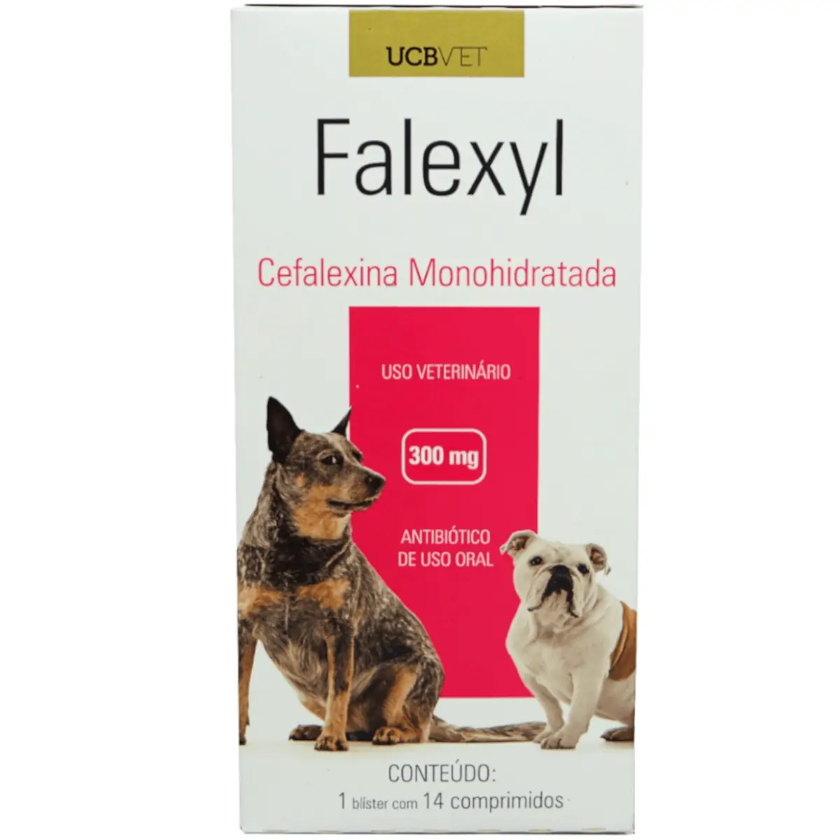 Falexyl Cartucho 14 Comp 300 Mg