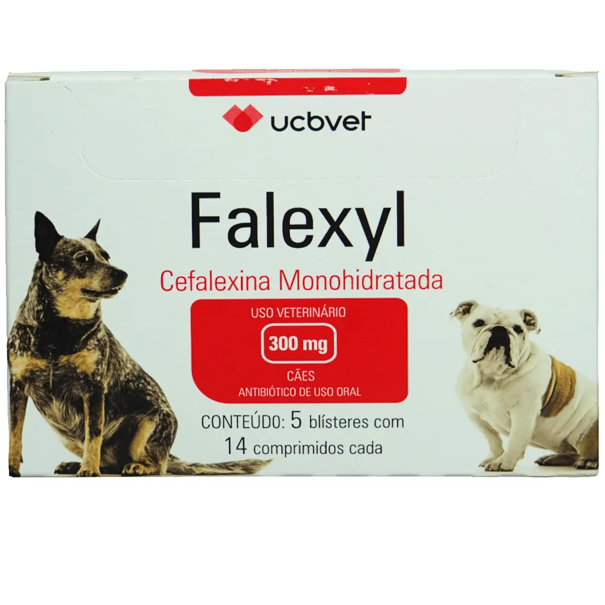 Falexyl 300mg Cartela C/ 14 Comprimidos