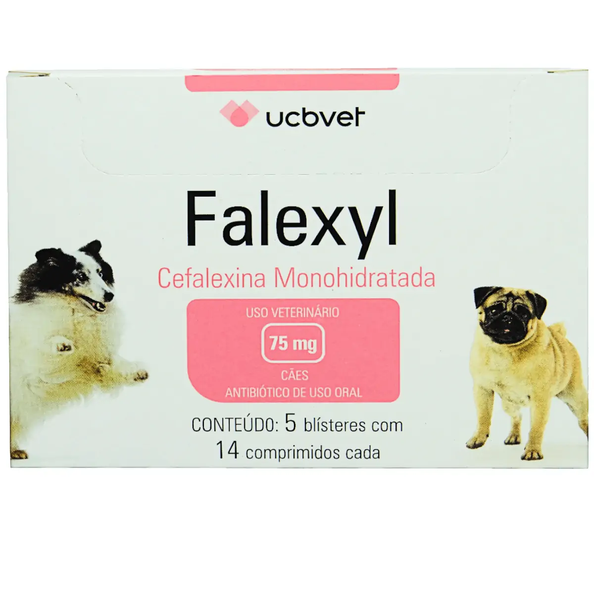 Falexyl Display 12x05x14x75mg