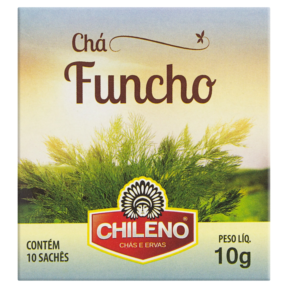 Chá De Funcho Chileno Caixa 10g 10 Unidades