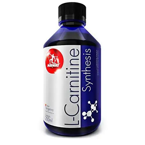 L Carnitina Synthe Tan 250ml