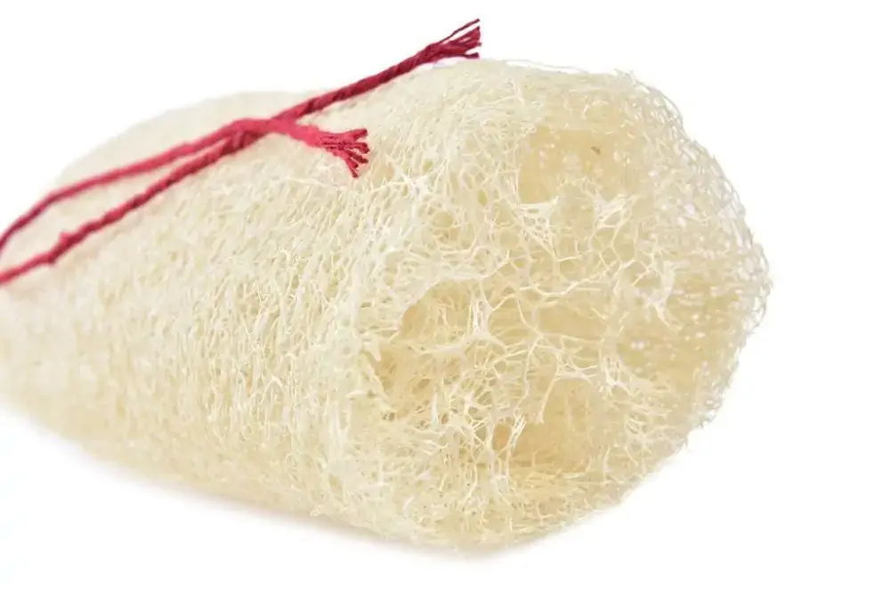Bucha Vegetal Isa Pedaco C Cordao 003