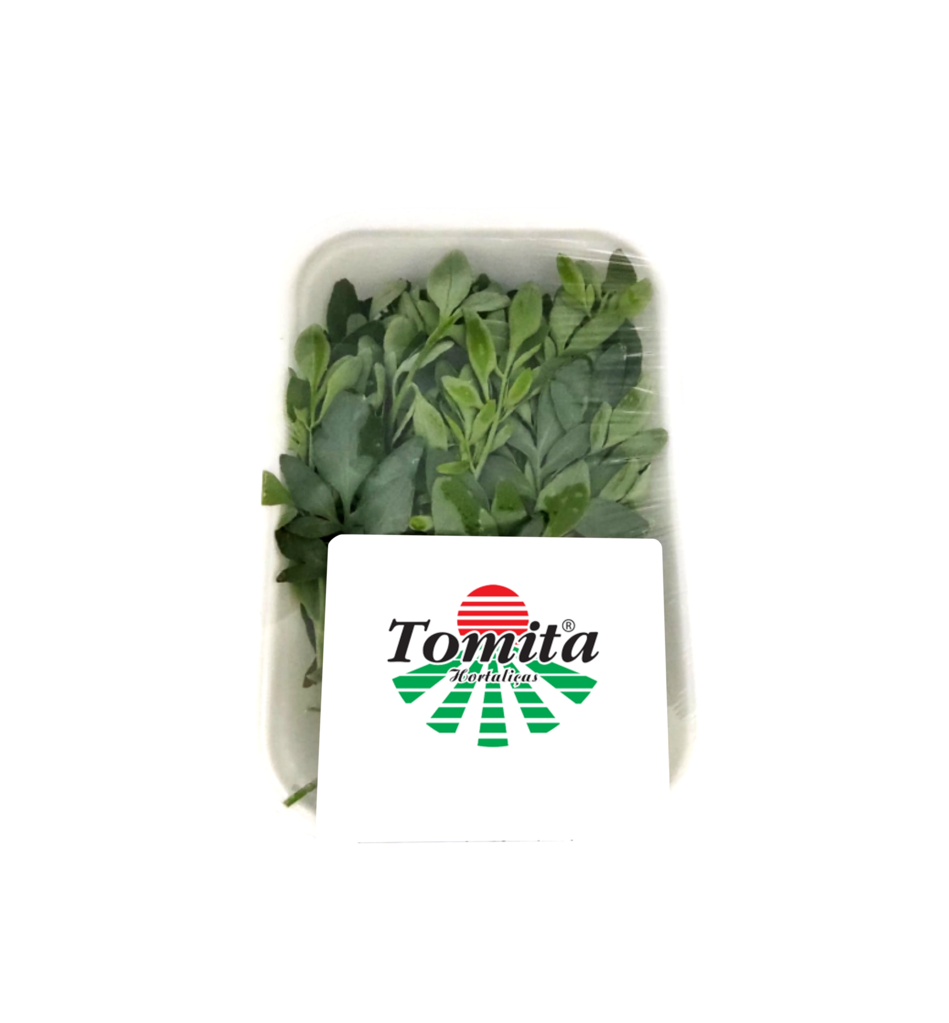 Hort Arruda Un