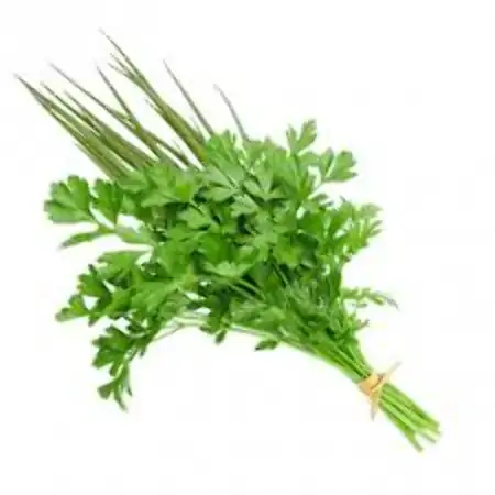 Cheiro Verde H A Organico Maco