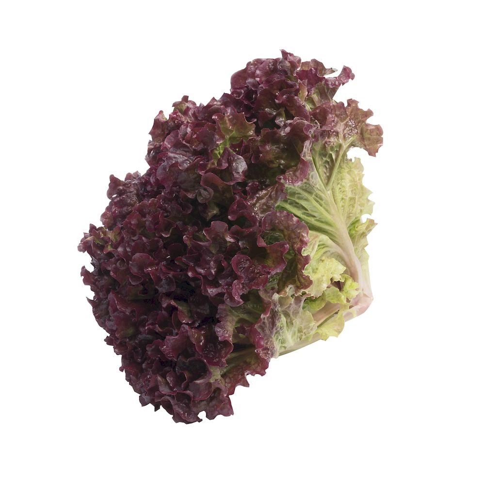 Alface H A Roxa Organica Pacote