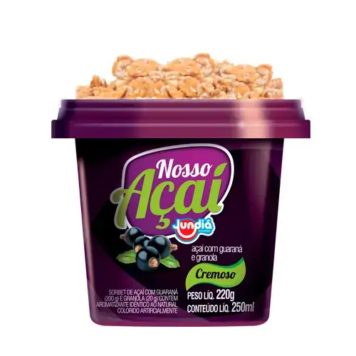 Sorbet Com Granola Açaí Com Guaraná Fuzzy Pote 250ml