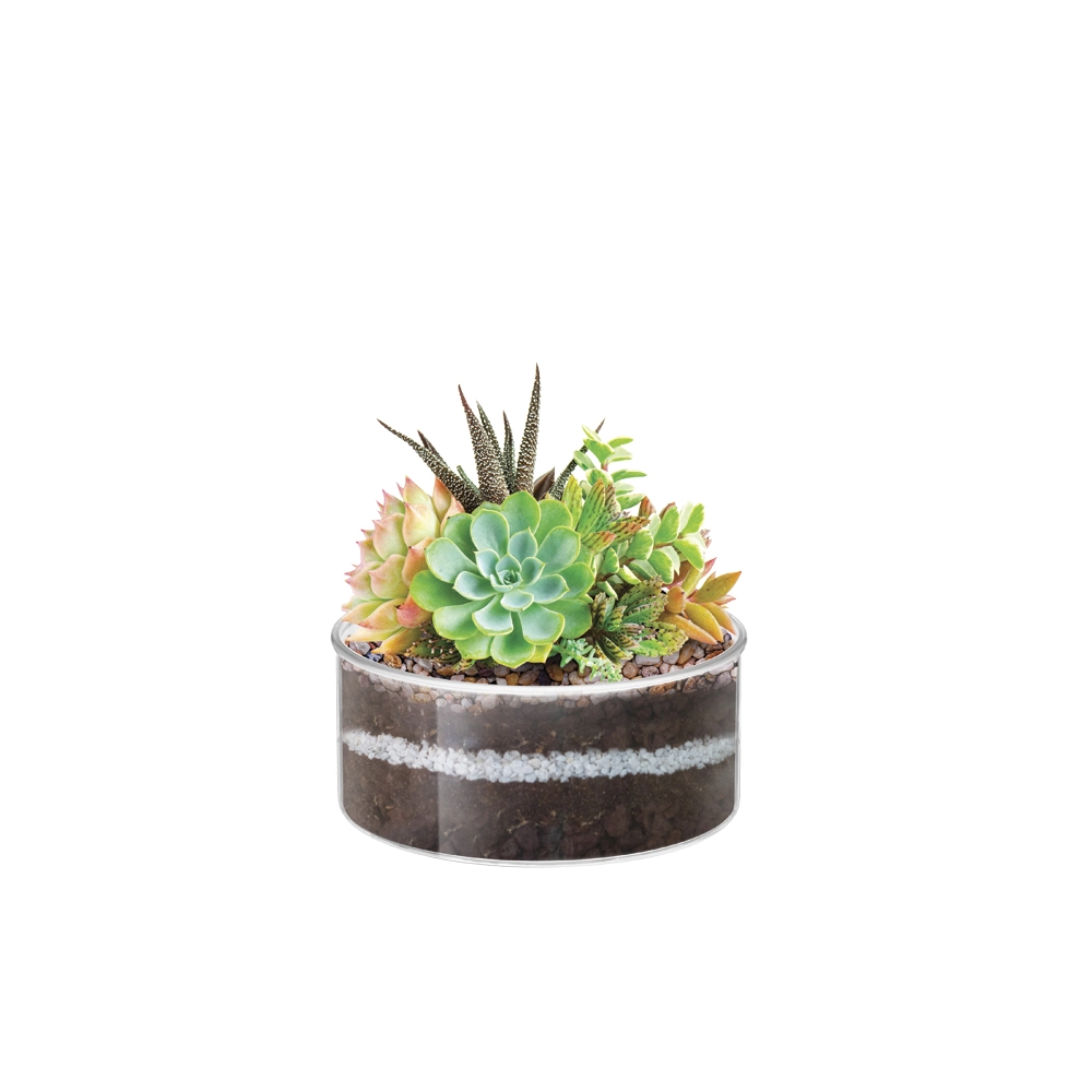 Vaso Redondo Cristal Mini 178 Injeplastec