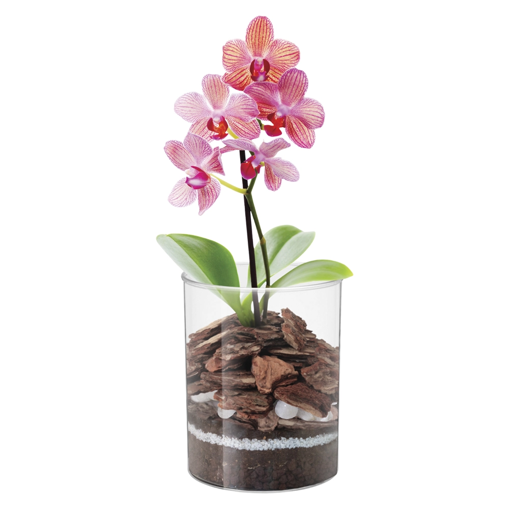 Vaso Redondo Cristal Medio 180 Injeplastec