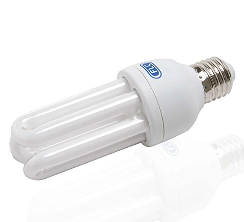 Lampada Flc Fluorescente 15x127v