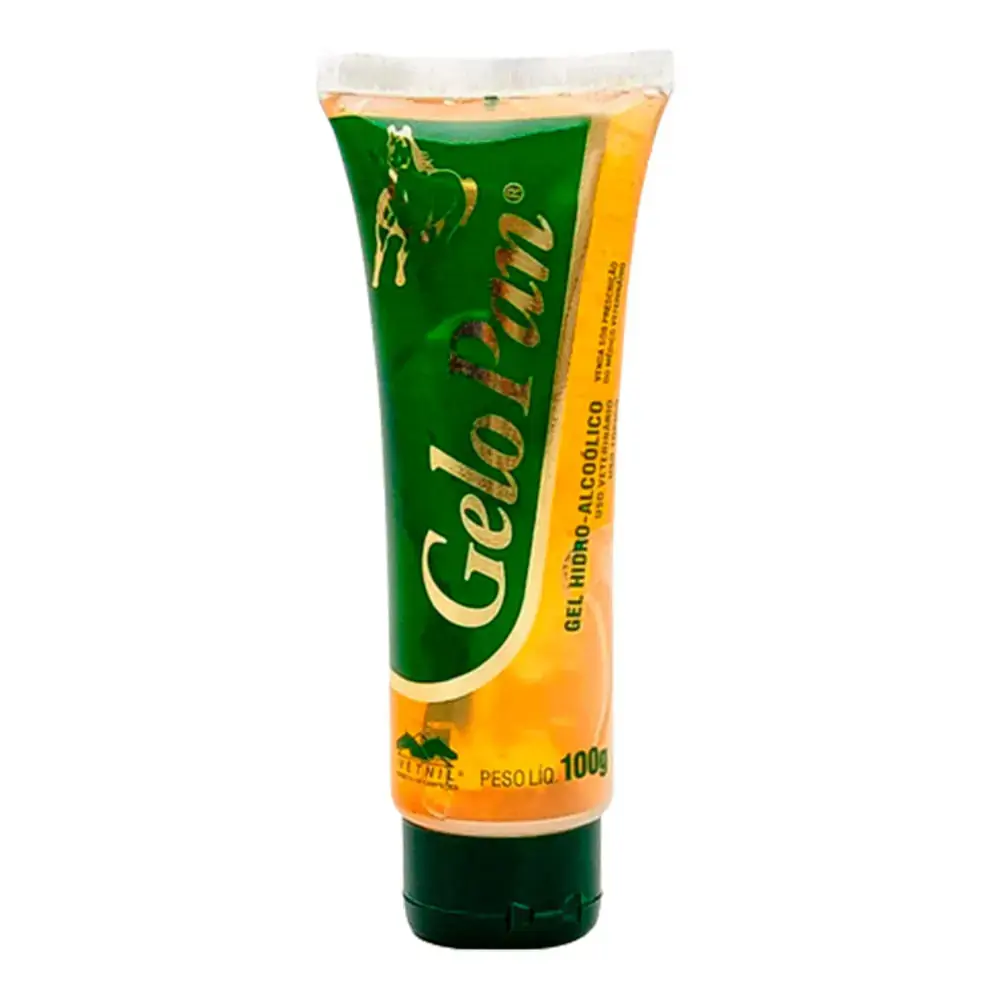 Gelopan Bisnaga Gel Hidro-Alcóolico 100 g