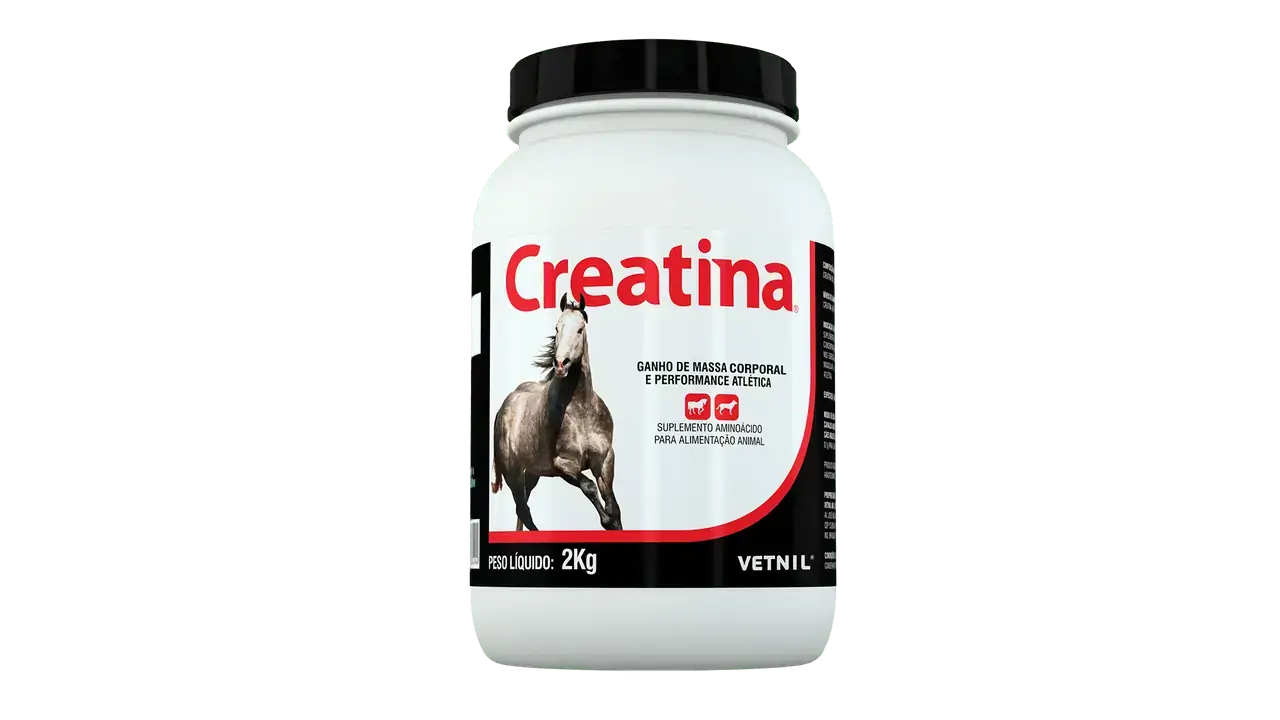 Creatina 2kg