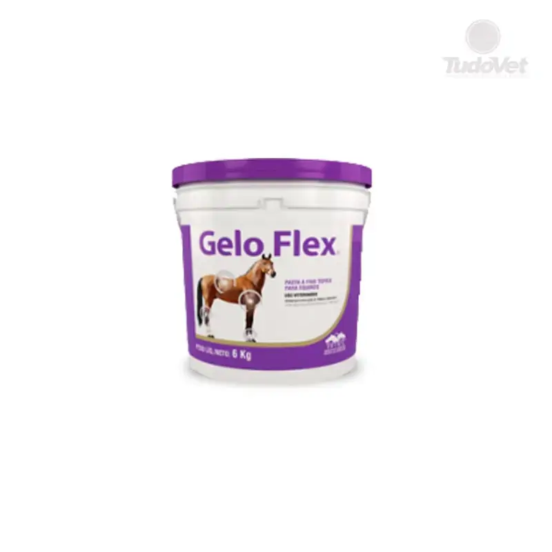 Gelo Flex Balde 6 Kg