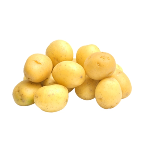 Direto Serra/org Batata Bolinha