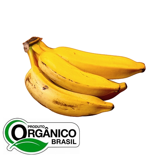 Direto Serra/org.banana Prata