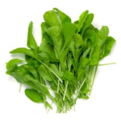 Direto Serra/org.rucula Selv. Hig.90g